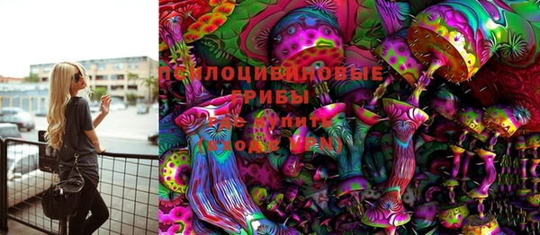 Альфа ПВП Ладушкин