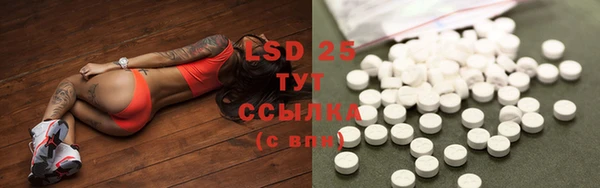PSILOCYBIN Сафоново