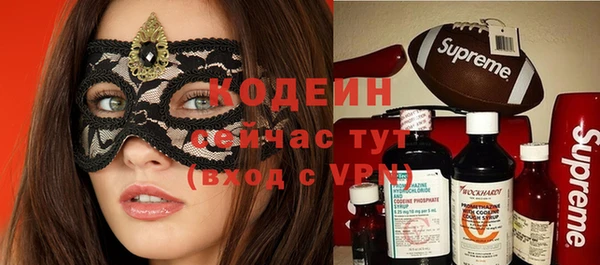 соль ск Кукмор