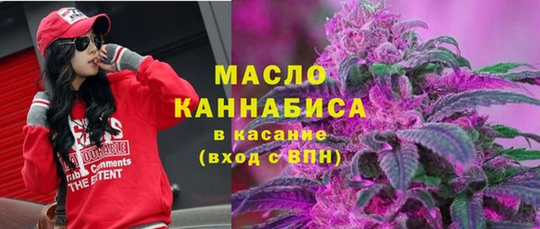 соль ск Кукмор