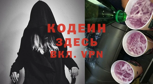 соль ск Кукмор