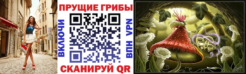 Псилоцибиновые грибы прущие грибы что такое это Telegram Городище